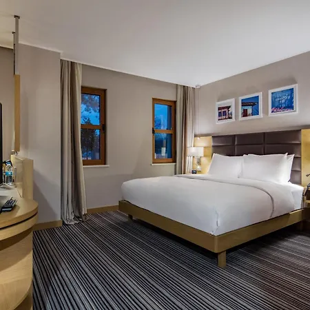 Hilton Garden